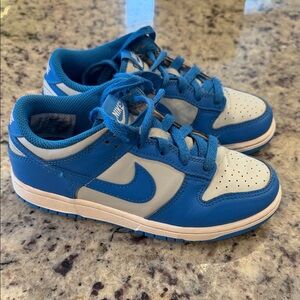 Nike Kids Dunk Low